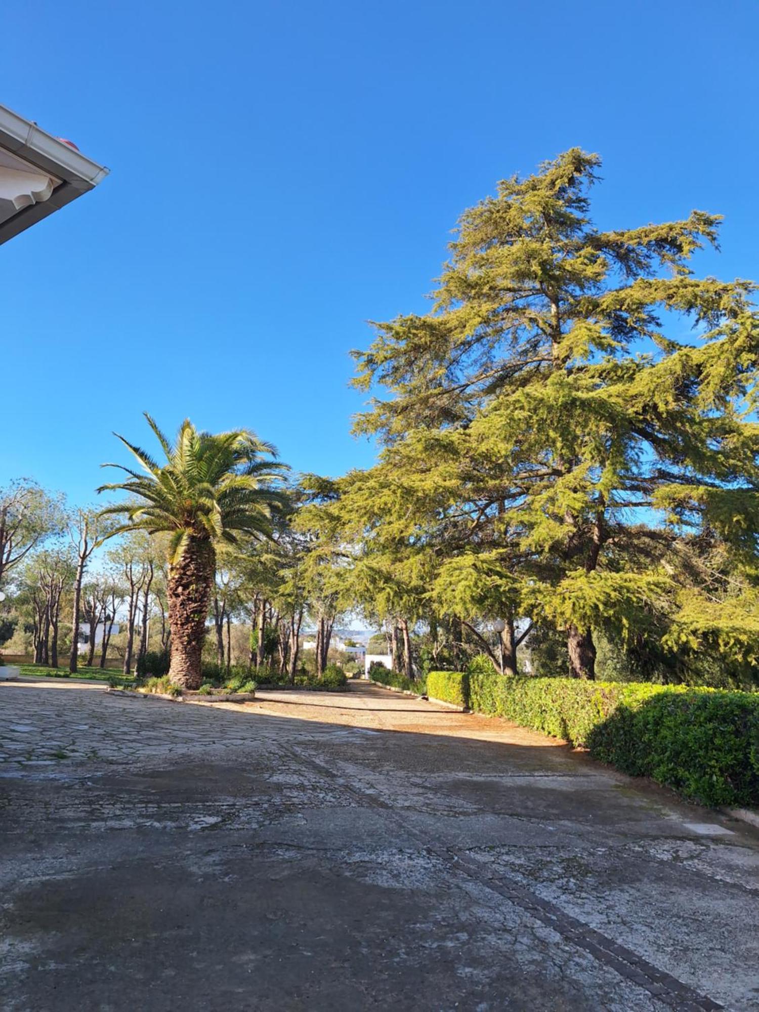 Holiday Home Trullo Antico Ostuni Exterior photo